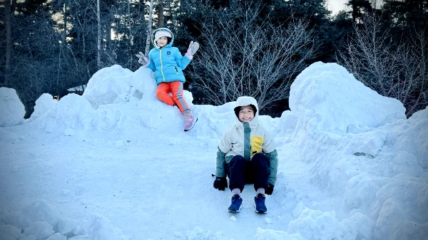 长白山的小土豆